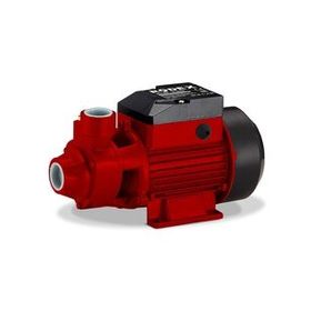 Rodex RDX873 Su Pompası