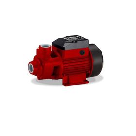 Rodex RDX873 Su Pompası