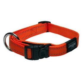 Rogz Portakal S 11 mm Köpek Boyun Tasma