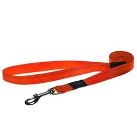 Rogz Portakal XL 25 mm 1.8 m Köpek Uzatma Tasması