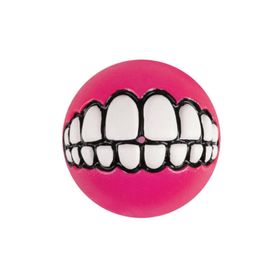 Rogz Toyz Grinz 6.4 cm Pink Ödül Hazneli Köpek Oyun Topu