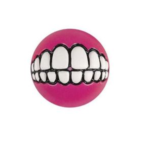 Rogz Toyz Grinz Ödül Hazneli Pembe 4.9 cm Small Köpek Oyun Topu