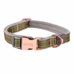 Rogz Urban Halsband Yeşil 1.6x20-31 cm Small Köpek Boyun Tasması