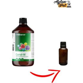 Röhnfried 10 ml Gervit W Multivitamin Takviyesi
