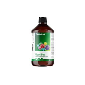 Röhnfried 10 ml Gervit W Multivitamin Takviyesi