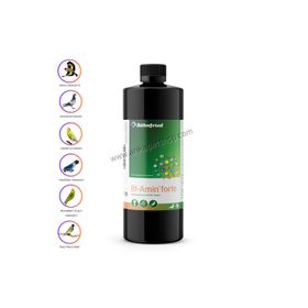Röhnfried 100 ml Bt Amin Forte B Vitamini Amino Asit ve Elektrolit