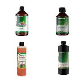 Röhnfried 4 Takviye 20 ml Gervit w Taubenfit E 50 Bt Amin Forte Sedochol 4'lü Bakım Seti