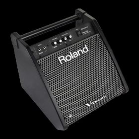 Roland PM-100 80 Watt Davul Monitörü