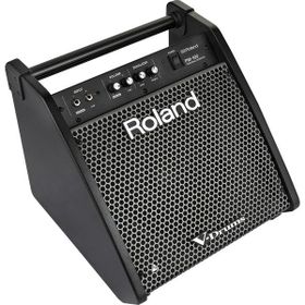 Roland PM-100 80 Watt Davul Monitörü