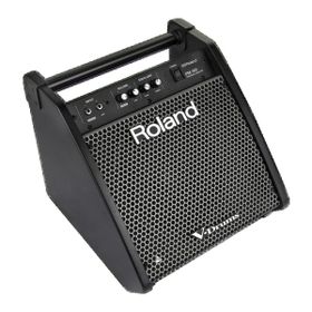 Roland PM-100 80 Watt Davul Monitörü
