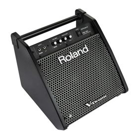 Roland PM-100 80 Watt Davul Monitörü