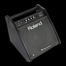 Roland PM-100 80 Watt Davul Monitörü