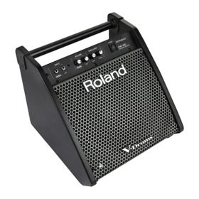 Roland PM-100 80 Watt Davul Monitörü