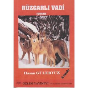 ROMAN RÜZGARLI VADI ÇOCUK ROMANI - HASAN GÜLERYÜZ