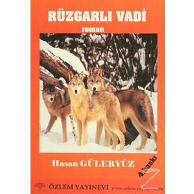 ROMAN RÜZGARLI VADI ÇOCUK ROMANI - HASAN GÜLERYÜZ