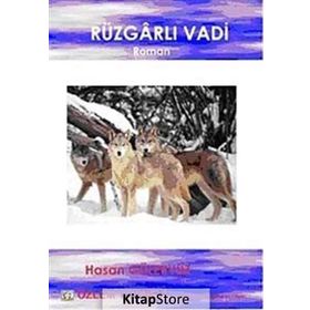 ROMAN RÜZGARLI VADI ÇOCUK ROMANI - HASAN GÜLERYÜZ