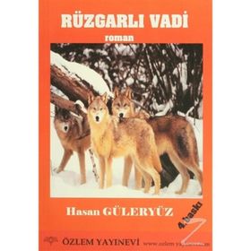 ROMAN RÜZGARLI VADI ÇOCUK ROMANI - HASAN GÜLERYÜZ