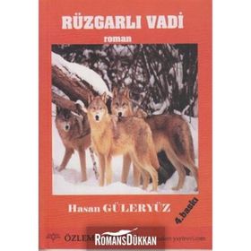 ROMAN RÜZGARLI VADI ÇOCUK ROMANI - HASAN GÜLERYÜZ