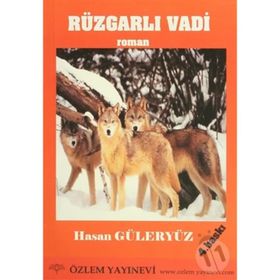 ROMAN RÜZGARLI VADI ÇOCUK ROMANI - HASAN GÜLERYÜZ