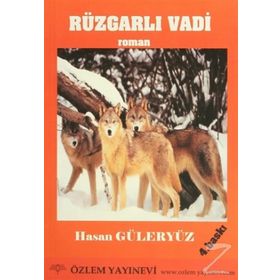 ROMAN RÜZGARLI VADI ÇOCUK ROMANI - HASAN GÜLERYÜZ