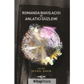 Romanda Bakış Açısı Ve Anlatıcı Düzlemi - Veysel Şahin