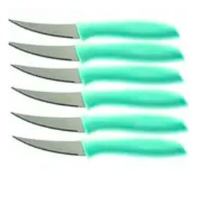 Rooc 18 cm 6'lı Meyve Bıçağı
