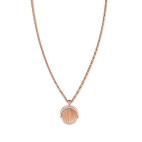 Rosefield Sunray Rose JTNCRG J449 Çelik Kolye