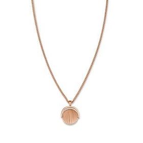 Rosefield Sunray Rose JTNCRG J449 Çelik Kolye