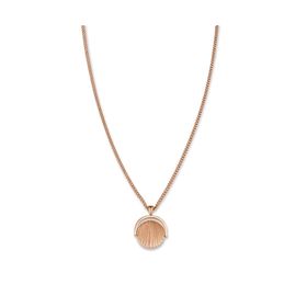 Rosefield Sunray Rose JTNCRG J449 Çelik Kolye