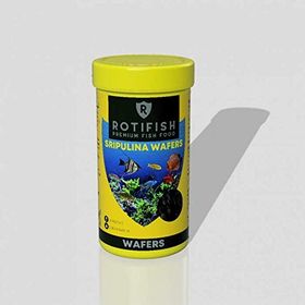 Rotifish SD Daphnia 250 ml Balık Yemi
