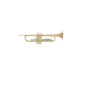 Roy Benson TR-202G Trompet