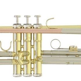 Roy Benson TR-202G Trompet