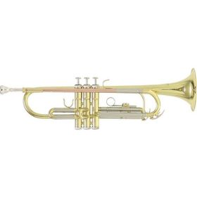 Roy Benson TR-202G Trompet