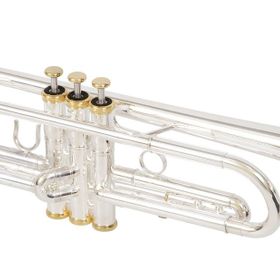 Roy Benson TR-CGS Charlie Green Signature Trompet