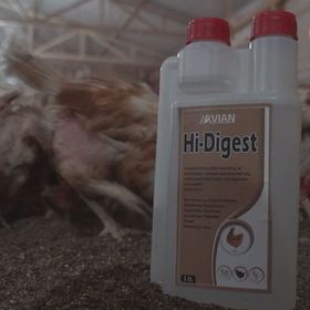 Royal 1 lt Hi-Digest Kanatlı Sindirim Sistemi Düzenleyici