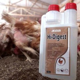 Royal 1 lt Hi-Digest Kanatlı Sindirim Sistemi Düzenleyici