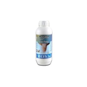 Royal 1 lt Masdisin Teat Foam Sağım Öncesi Köpüklü