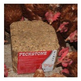 Royal 10 kg Avian PeckStone
