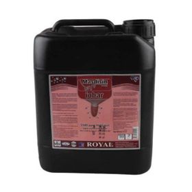 Royal 20 lt Masdisin İobar