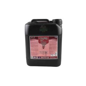 Royal 20 lt Masdisin İobar
