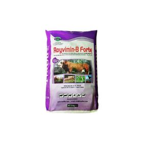 Royal 25 kg Royvimin B Forte Torba