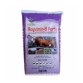 Royal 25 kg Royvimin B Forte Torba