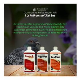 Royal Acidoral Pigeorex Pantonic 3'lü 1 lt Tamamlayıcı Yem Seti