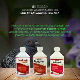 Royal Acidoral Pigeorex Pantonic 3'lü 500 ml Tamamlayıcı Yem Seti