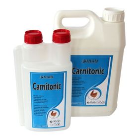 Royal Avian Carnitonic 1 lt Kanatlı Vitamin