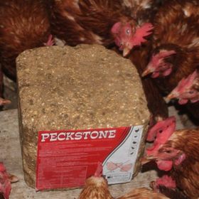 Royal Avian Peckstone 4 kg Kanatlı Hayvanlar İçin Gagalama Taşı