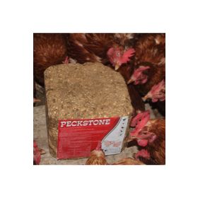 Royal Avian Peckstone 4 kg Kanatlı Hayvanlar İçin Gagalama Taşı