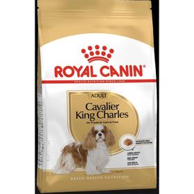 Royal Canin 1.5 kg Dog BHN Cavalier Köpek Maması