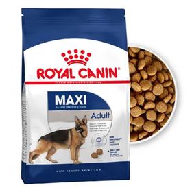 Royal Canin 1 kg Maxi Adult Büyük Irk Yetişkin Köpek Maması
