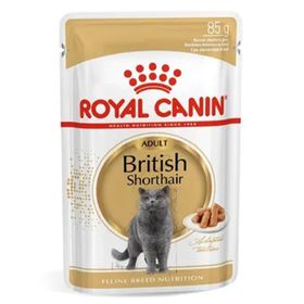 Royal Canin 12x85 gr British Shorthair Adult Yetişkin Yaş Kedi Maması